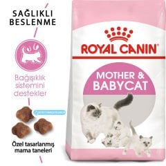 Royal Canin Mother & Babycat Yavru Kuru Kedi Maması