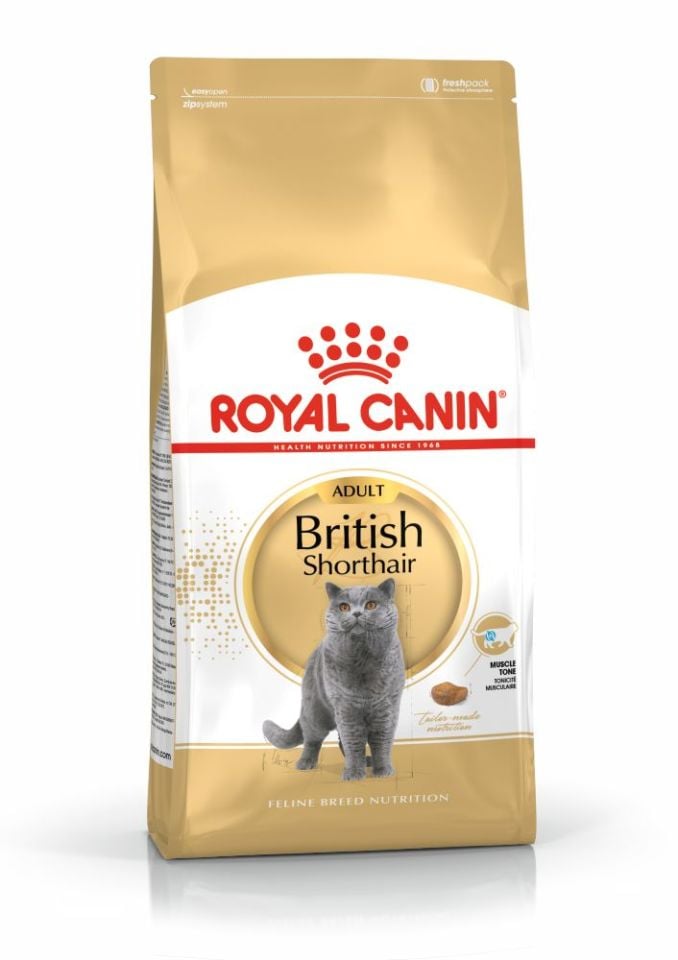 Royal Canin British Shorthair Yetişkin Kuru Kedi Maması 2 Kg