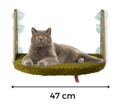 Pugalo Vantuzlu Kedi Cam Yatağı