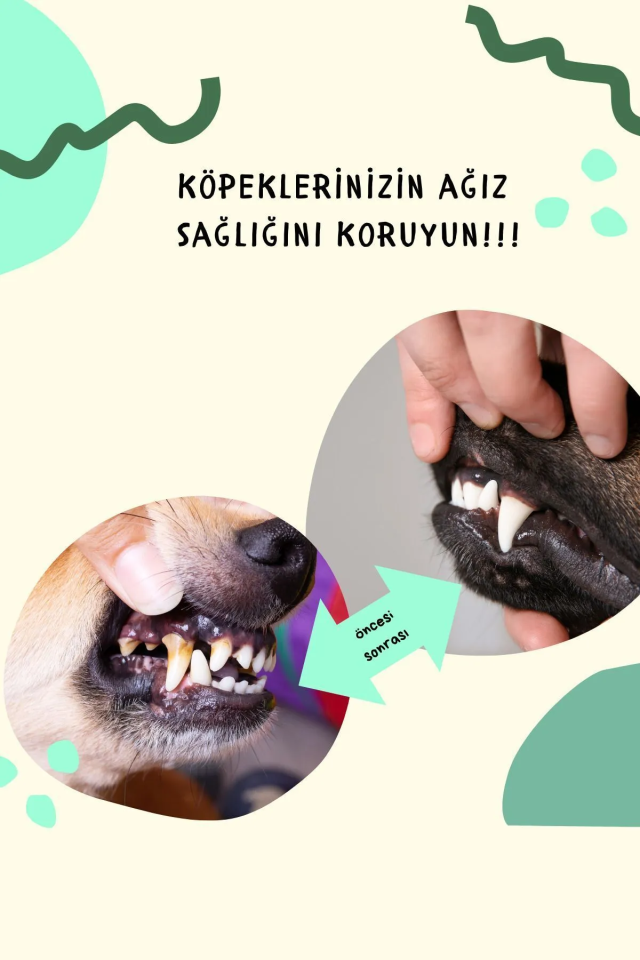 Köpek Ve Kedi Suya Damlatılan Koku Önleyici Ağız Ve Diş Bakım Damlası