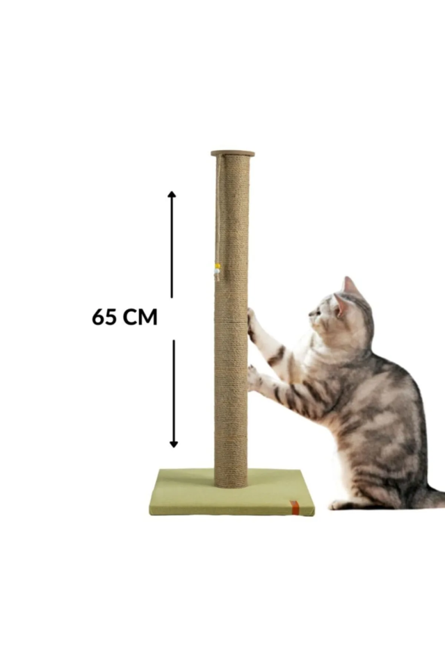 Pugalo 65 Cm Büyük Kedi Tırmalama Tahtası Catnipli Uzun Tırmalama Tahtası