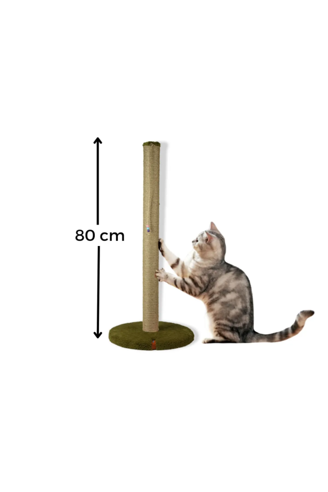 Pugalo 80 Cm Tırmalama Tahtası Silindir Taban Uzun Catnipli Tırmalama Tahtası Yeşil