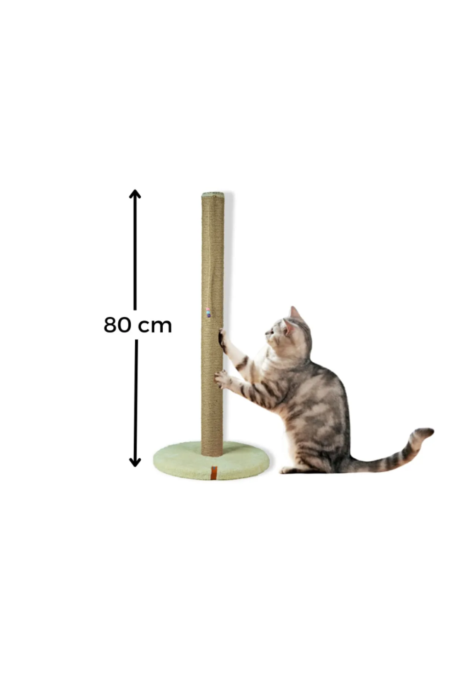 Pugalo 80 Cm Tırmalama Tahtası Silindir Taban Uzun Catnipli Tırmalama Tahtası Krem