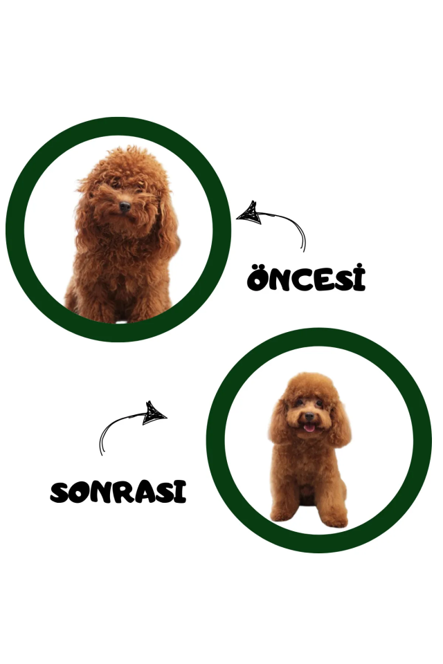 Pugalo Köpük Şampuan Kedi Tüy Dökülmesi Karşıtı Doğal Içerikli Aloe Veralı Kuru Köpük Şampuan 250 ml