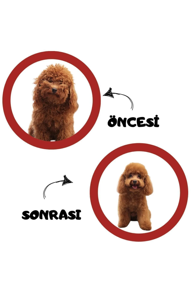 Pugalo Köpük Şampuan Kedi Tüy Dökülmesi Karşıtı Doğal Içerikli Çilekli Kuru Köpük Şampuan 250 ml