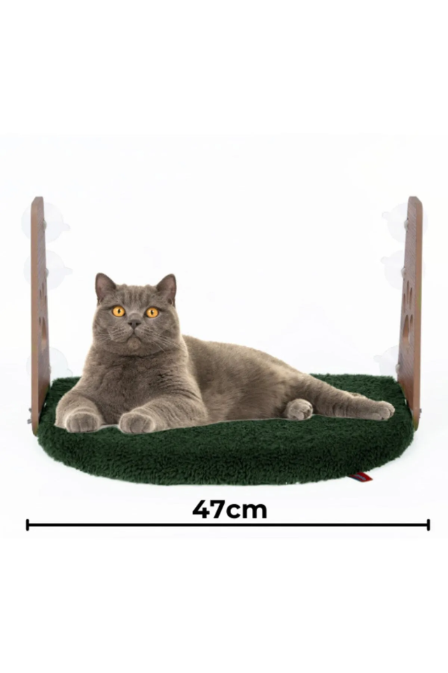 Pugalo Cam Yatağı Vantuzlu Kedi Cam Yatağı Vantuzlu Yatak