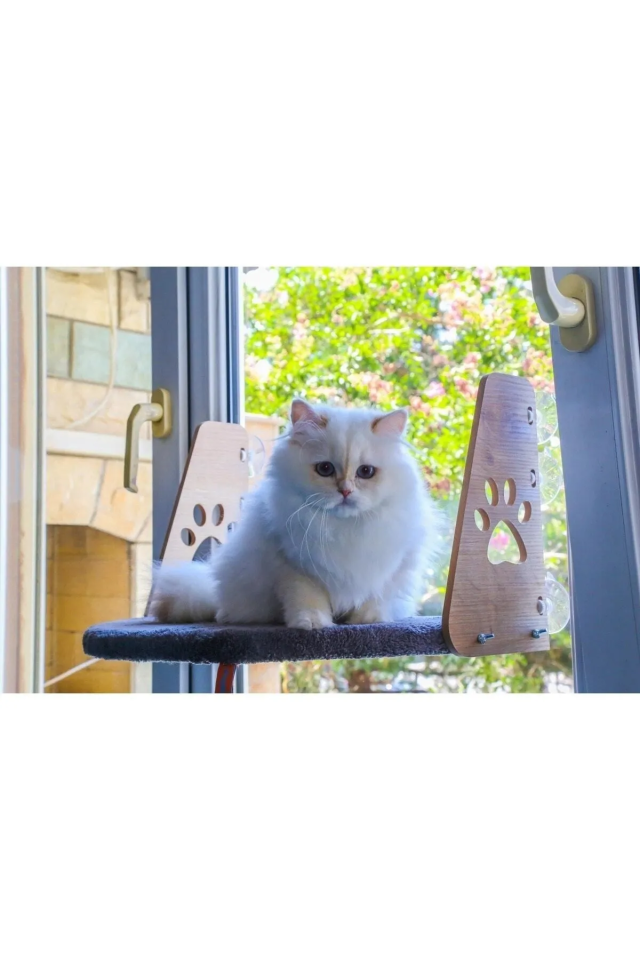 Pugalo Cam Yatağı Vantuzlu Kedi Cam Yatağı Vantuzlu Yatak Gri