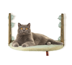 Pugalo Vantuzlu Kedi Cam Yatağı Şampanya