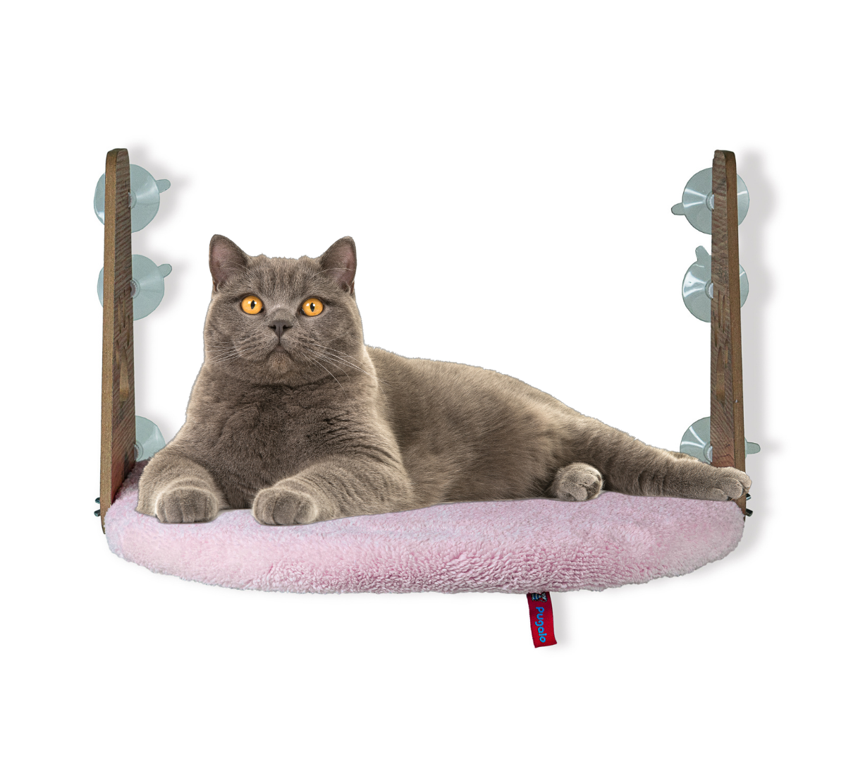 Pugalo Vantuzlu Kedi Cam Yatağı Pembe