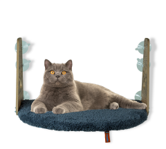 Pugalo Vantuzlu Kedi Cam Yatağı Antrasit