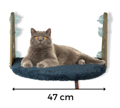 Pugalo Vantuzlu Kedi Cam Yatağı Antrasit