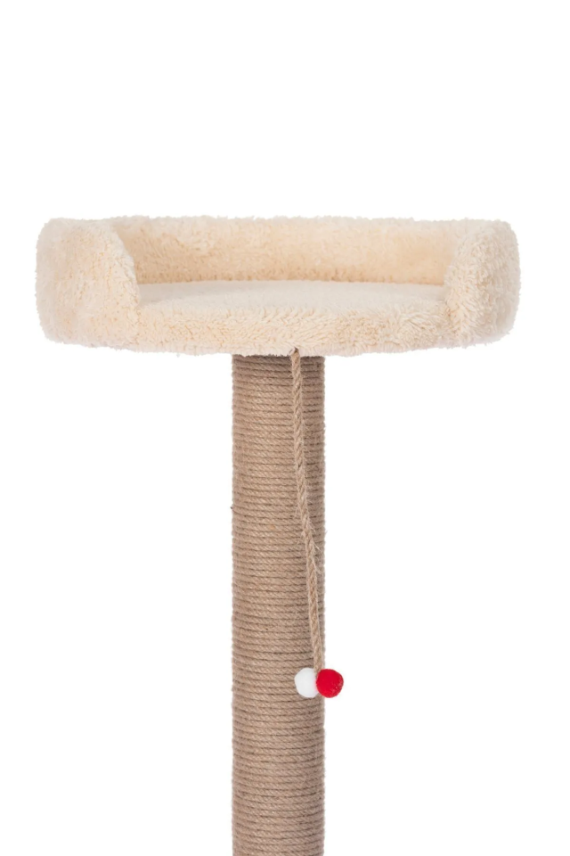 Pugalo Hoppala Kedi Tırmalaması Sünger Kenar Krem