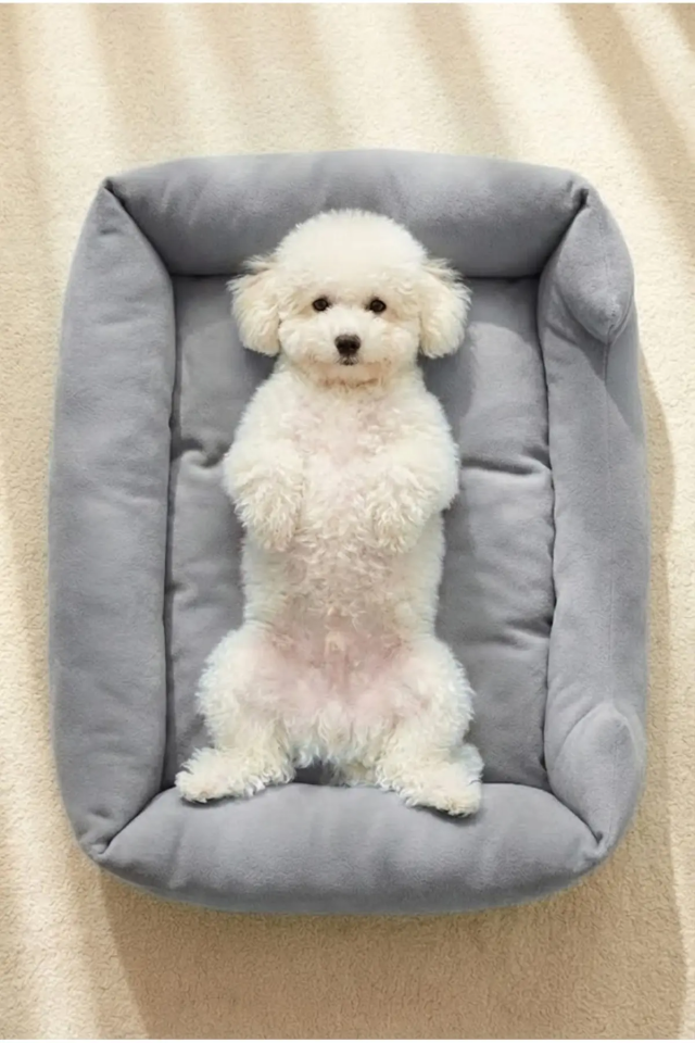 Pugalo Soho Ultra Yumuşak Kedi ve Köpek Yatağı Elyaf Dolgu Gri XXL