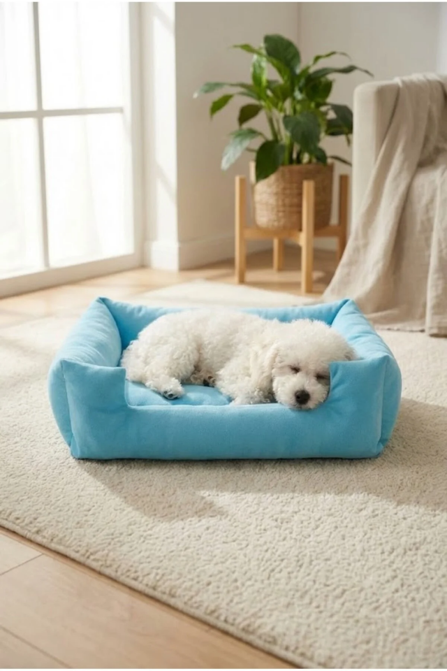 Pugalo Soho Ultra Yumuşak Kedi ve Köpek Yatağı Elyaf Dolgu Mavi XXL