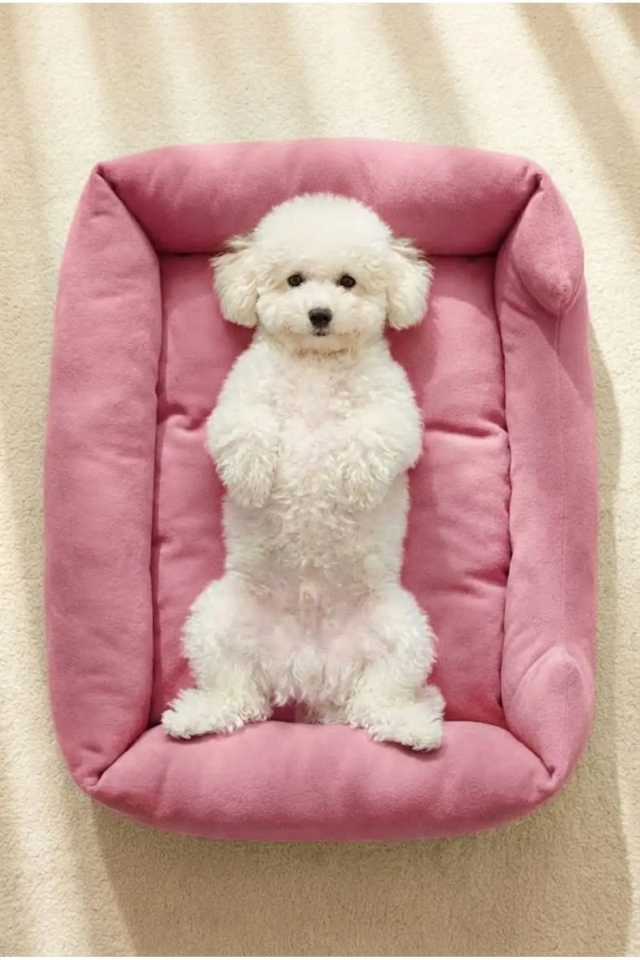 Pugalo Soho Ultra Yumuşak Kedi ve Köpek Yatağı Elyaf Dolgu Pembe XXL