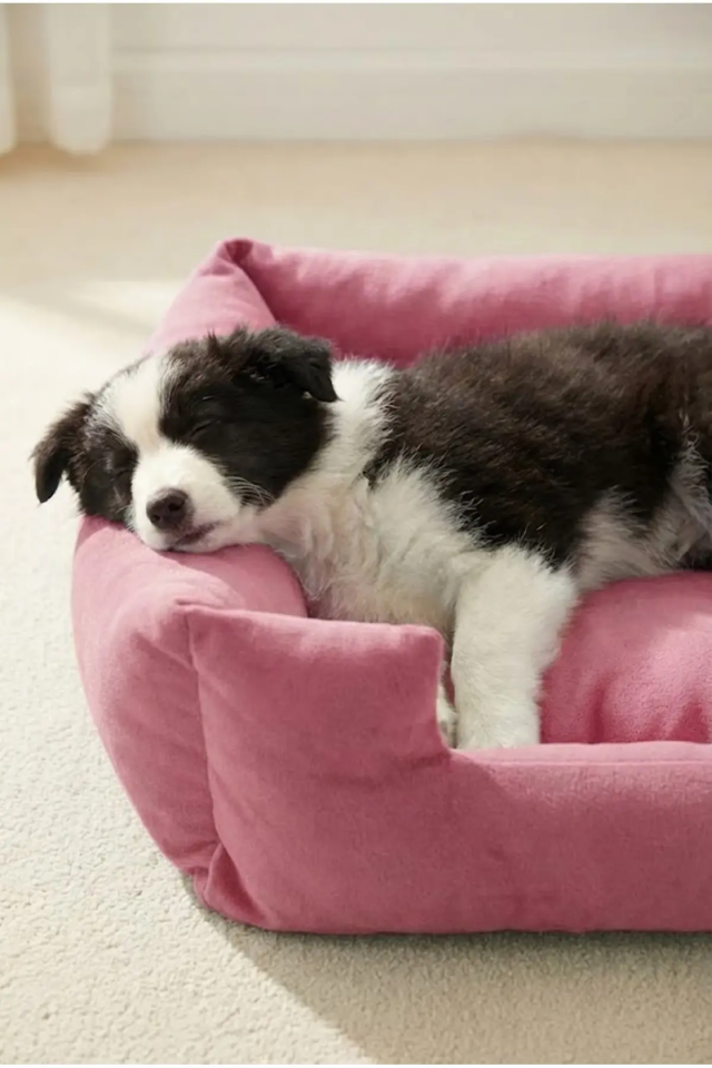 Pugalo Soho Ultra Yumuşak Kedi ve Köpek Yatağı Elyaf Dolgu Pembe XXL