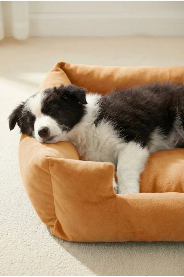 Pugalo Soho Ultra Yumuşak Kedi ve Köpek Yatağı Elyaf Dolgu Sarı XXL