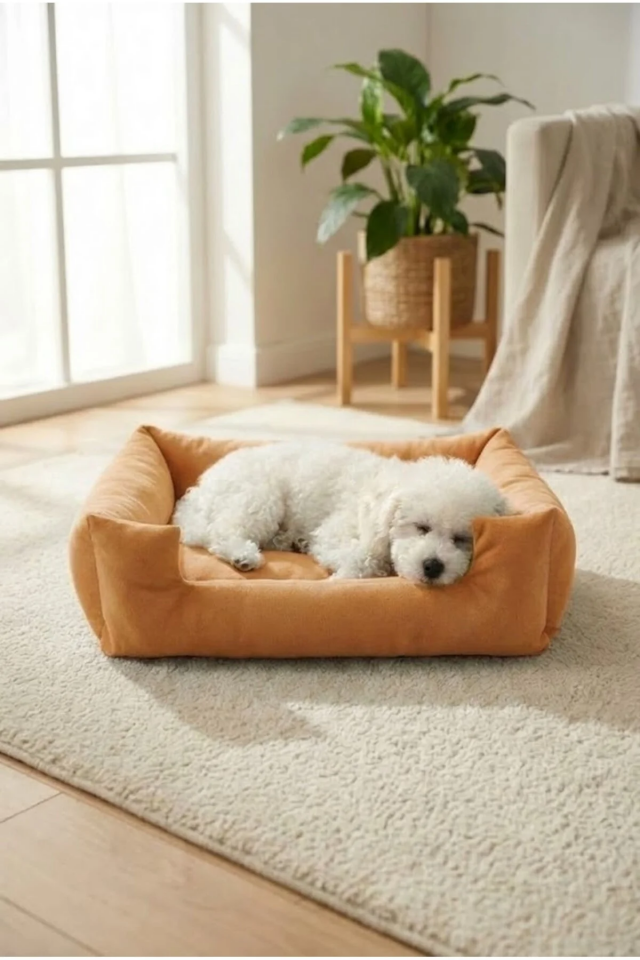 Pugalo Soho Ultra Yumuşak Kedi ve Köpek Yatağı Elyaf Dolgu Sarı XXL