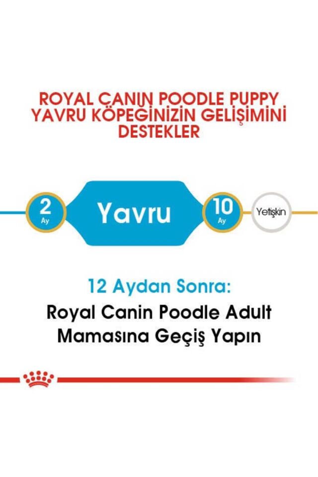 Poodle Yavru Köpek Maması 3kg